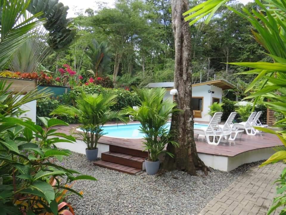 Alloro Jungle Villas Puerto Viejo de Talamanca 外观 照片