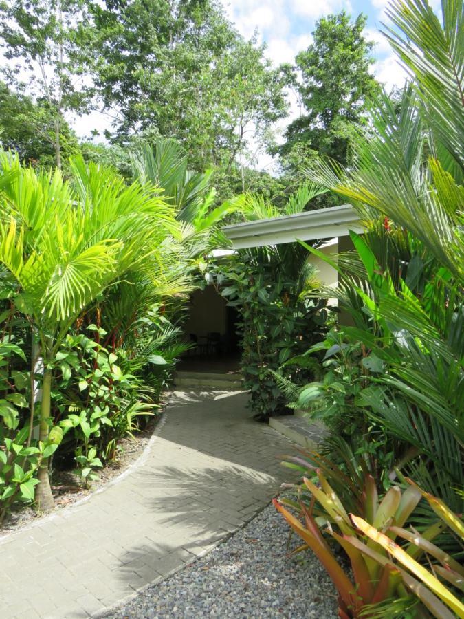 Alloro Jungle Villas Puerto Viejo de Talamanca 外观 照片